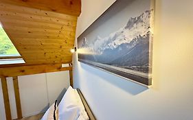 Chez Fred 201 - Parking Wifi - Clg Savoie